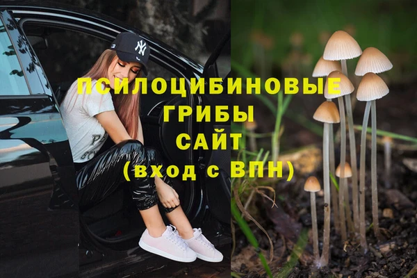 бутират Карпинск