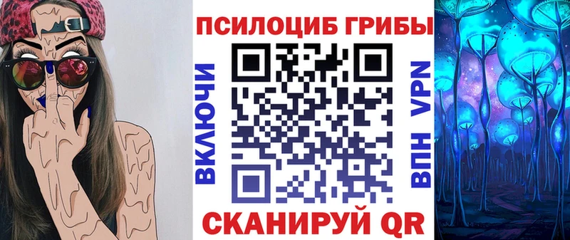 как найти закладки  Киселёвск  Галлюциногенные грибы Psilocybe 